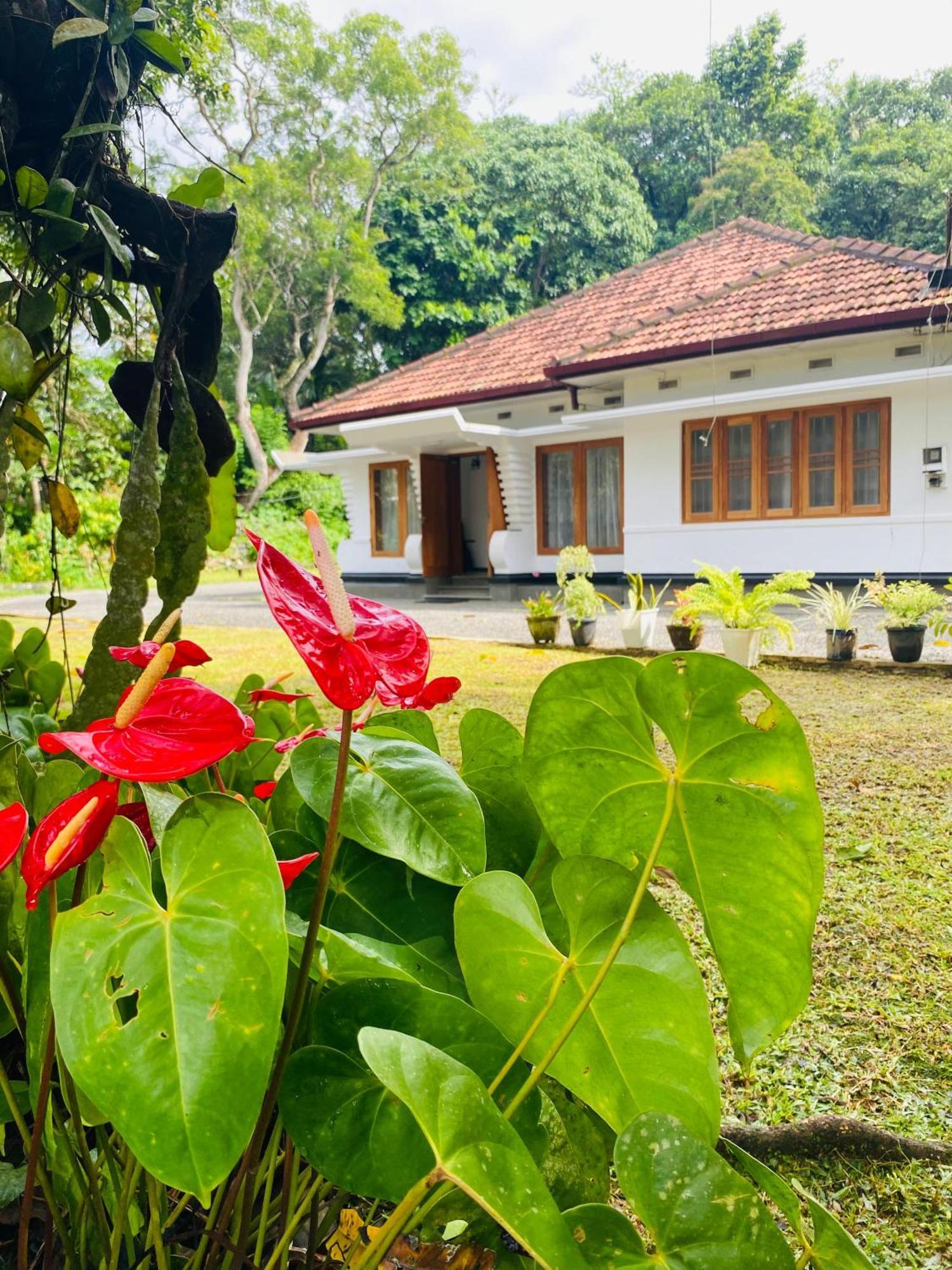 Happy Valley Residence Unawatuna Ґалле Екстер'єр фото
